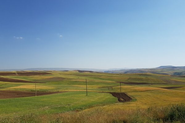 Farmlands-of-iran