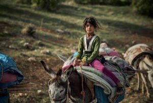 Passing Zagros Mountains